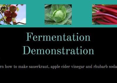 Fermentation Demonstration