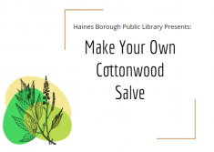 Make Cottonwood Bud Salve